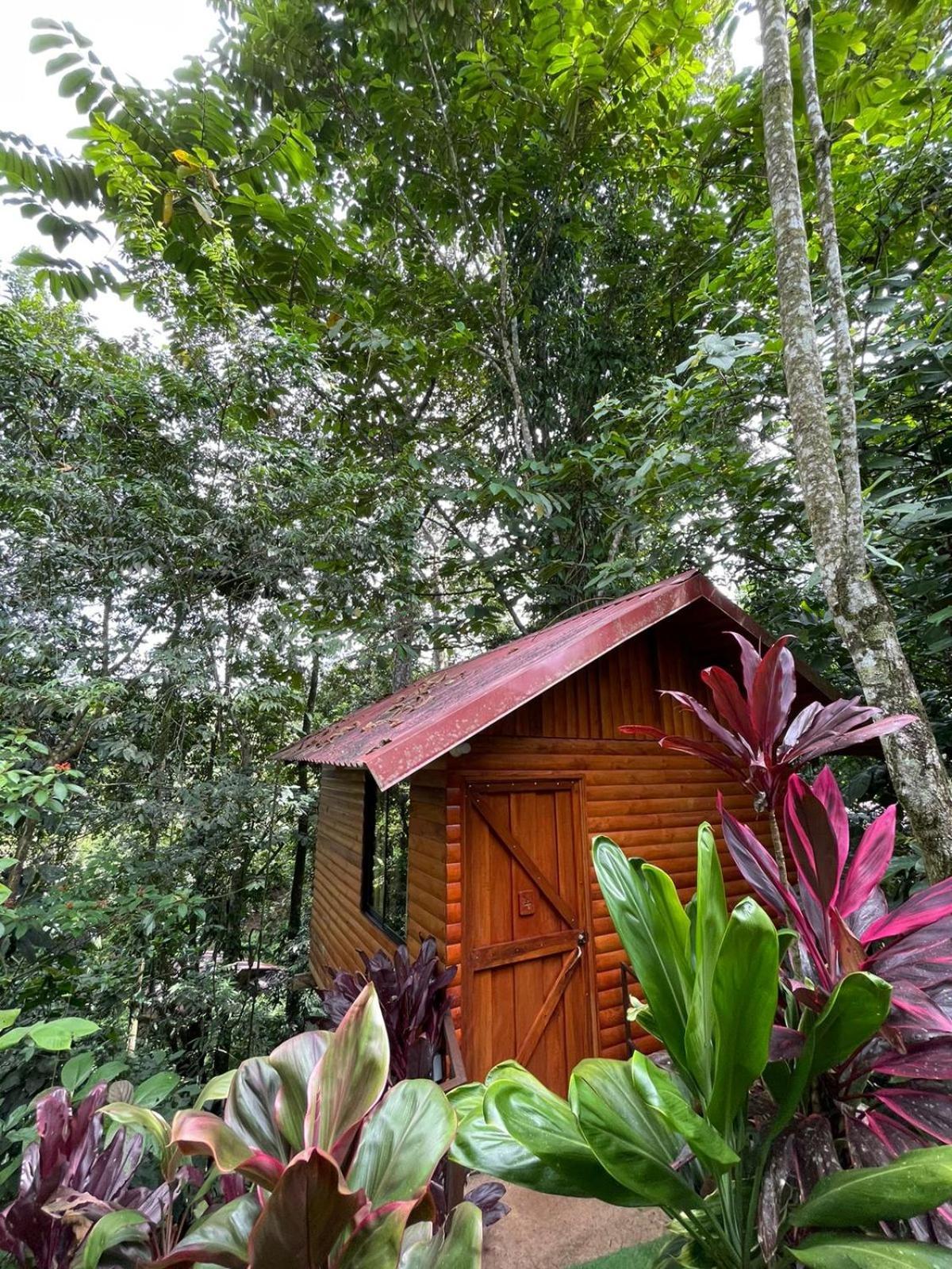 Arenal Rustic Lodge La Fortuna ภายนอก รูปภาพ
