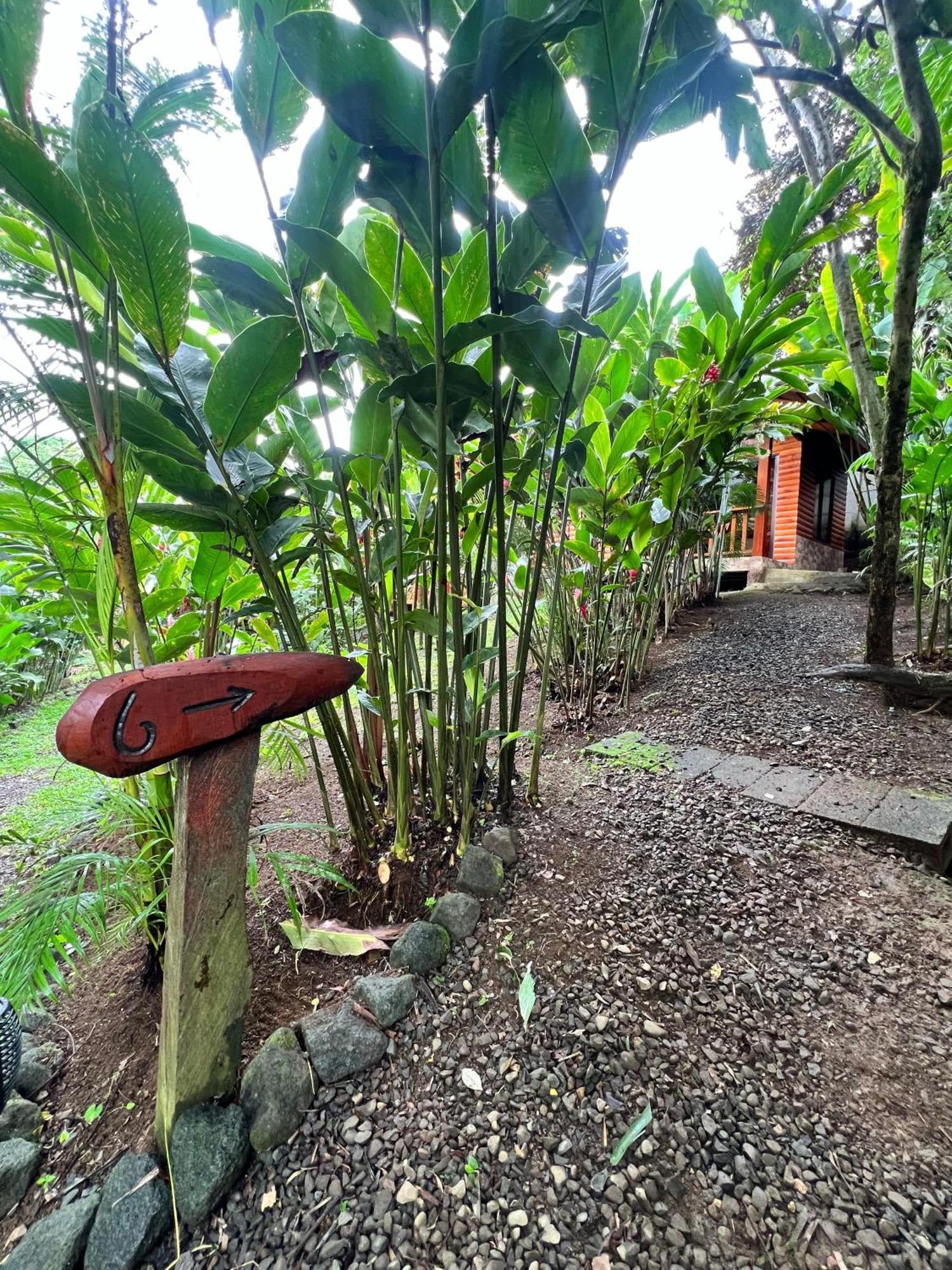 Arenal Rustic Lodge La Fortuna ภายนอก รูปภาพ