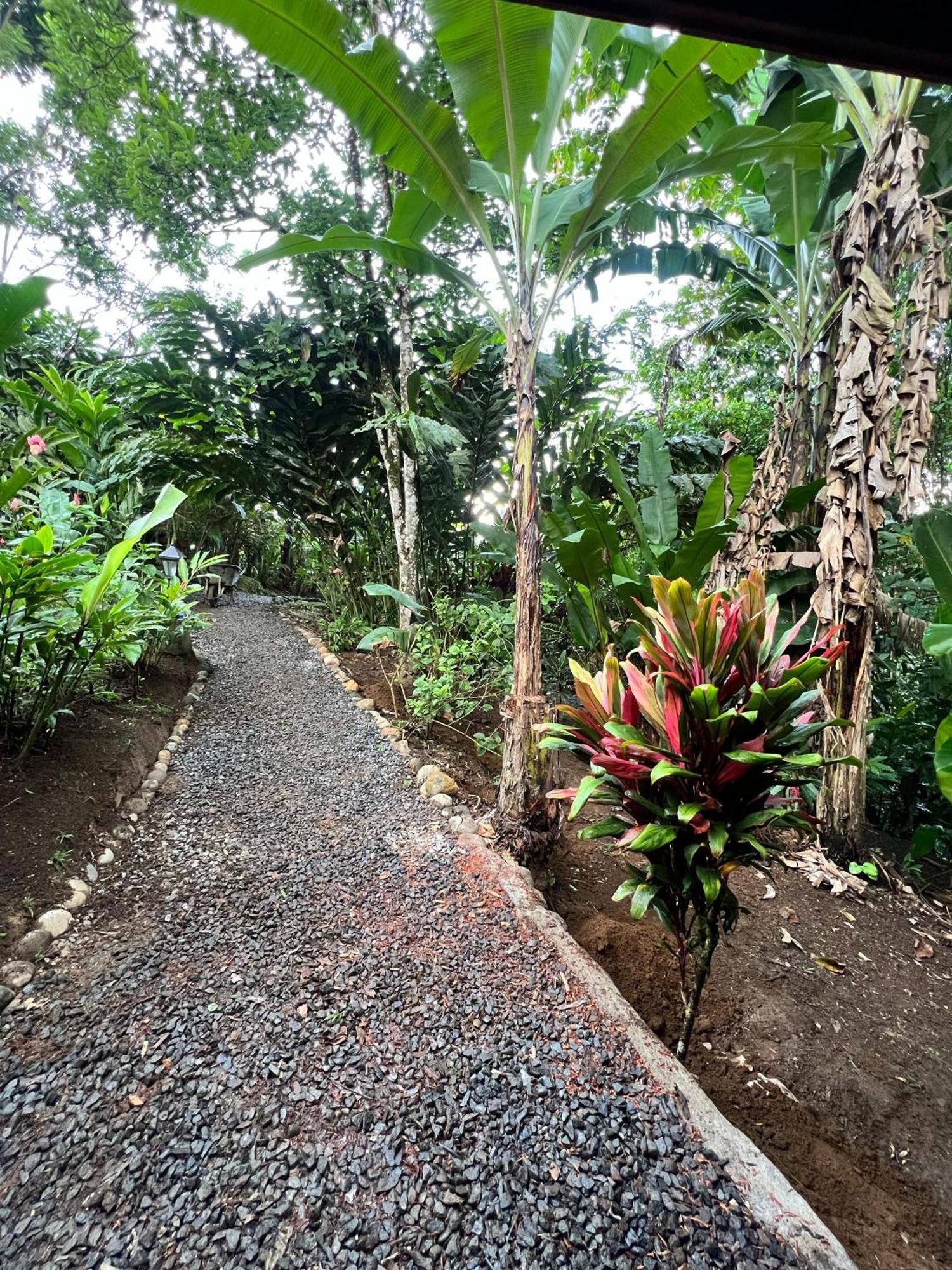 Arenal Rustic Lodge La Fortuna ภายนอก รูปภาพ