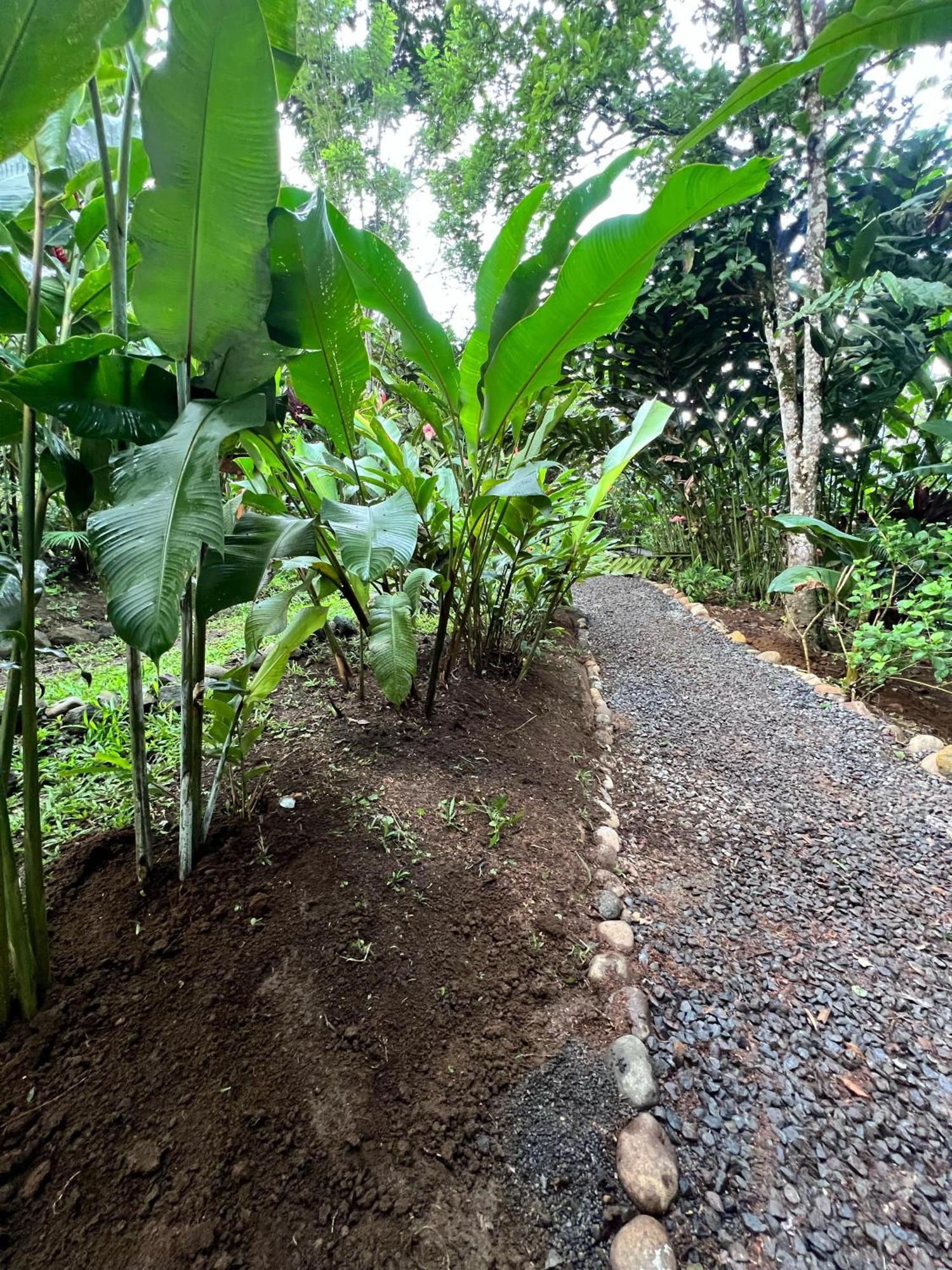 Arenal Rustic Lodge La Fortuna ภายนอก รูปภาพ